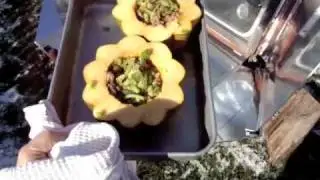 солнечная готовка зимой