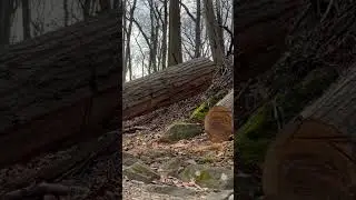 Popolopen gorge 06.02.2023
