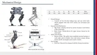 Effects of Passive Ankle on Bipedal Robot Walking Locomotion