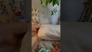 Amazon Vine unboxing: lace curtains :: #unboxing #unboxingvideo #unboxings #amazon #amazonvine #haul