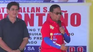 Binay: We need Honasan as crime czar