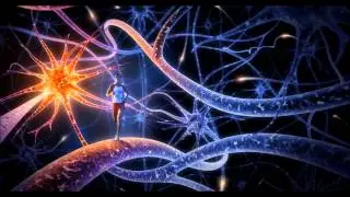 Treading Through the Vast Expanse of Sensory Perception