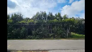 99-7719 ULUHE PL | Volcano Real Estate
