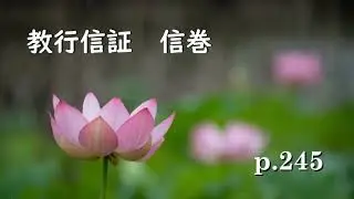 p0245