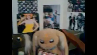 SDCC mini display