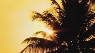 AVC LIVE Live Stream