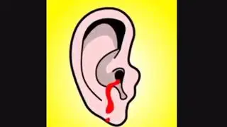 The loudest music In the world