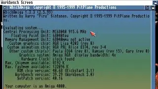 AMIGA Which Amiga By Harry Sintonen LIKE SYSINFO DIAGNOSTICS STATISTICS LITTLE DIFFERENT UTILIT TOOL