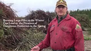 Alaska Division of Forestry brush disposal sites in Delta and Tok
