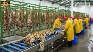 Inside the Leopard Leather Factory &ndash; Million-Dollar Products Made from Leopard Skin | Full Process