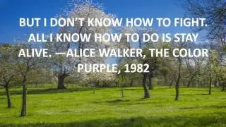 short funny quotes for graduation.mp4