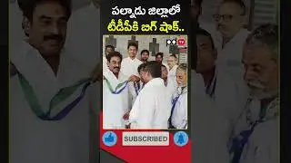 Big Shock to TDP | #shorts | #pdtvnews