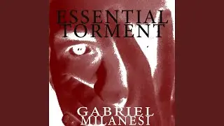Essential Torment