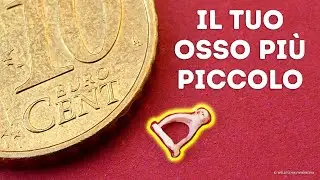I segreti pi&ugrave; sorprendenti delle ossa umane! Non crederete a quello che c'&egrave; dentro