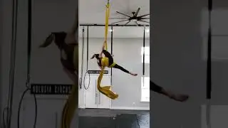 Florida Pole Fitness Championship 2019 Junior Division Silks (Haley Armstrong)