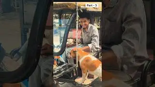Emotional Dog Love | Street Dog Bond 🥺🐶