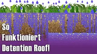 So Funktioniert Detention Roof!
