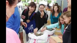 Venturada Feria Sierra Norte 17