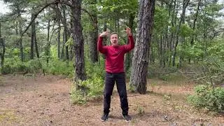 Activate Your Qi (Chee)