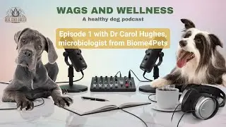 Wags & Wellness with Dr Carol Hughes