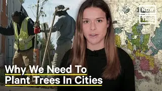 How Systemic Racism Linked to Fewer Trees in Your City | One Small Step