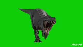 20 October 2025