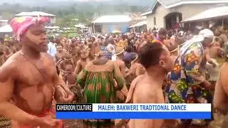 Discover one of Cameroon's Traditional Dances. Njoku Elephant dance/ Bakweri people. South West Reg.