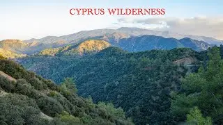 Secret Canyon Hike in Cyprus | E4 Trail Lysos to Stavros tis Psokas + Mouflon Sighting!