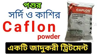 পশুর সর্দি ও কাশির Caflon Powder একটি জাদুকরী ট্রিটমেন্ট | Caflon Powder uses benifits in bangla