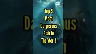 Top 5 Most Dangerous Fish 🌍 #shortsfeed #fish