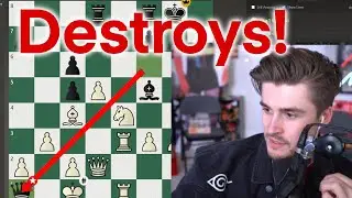 LUDWIG Destroys Sardoche