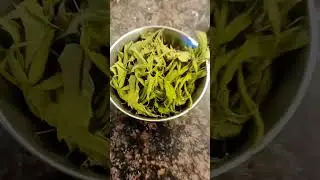 Granny cooked Neem leaves| Grandpa and Granny funny 😁 #trending #youtubeshorts #viral #food #funny