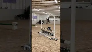 First ever training with my 4-year old🐴💕 #horse #horserider #equestrian #rider #horseriding