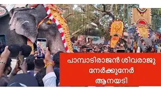പാമ്പാടി രാജൻ ശിവരാജു നേർക്ക് നേർ ആരാധകർക്ക് രാജന്റെ സലാം ആനയടി@VMPRADEEP#keralaelephant