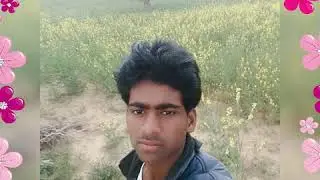 Dil jle