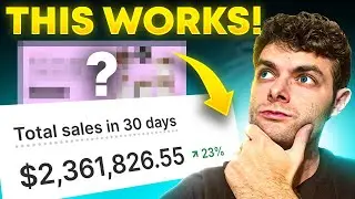 Brilliant $2,000,000/Month Niche Ecom Store (Full Strategy Revealed)