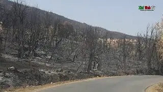Vu Sur La Route Du Village 
