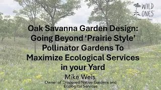 Oak Savanna Garden Design: Going Beyond 'Prairie Style' Pollinator Gardens