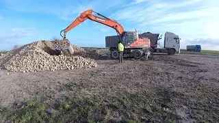 Chargement et tansport de betteraves Marne 2018 [GOPRO][HD]