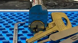 ASSA D12 Picked and Gutted