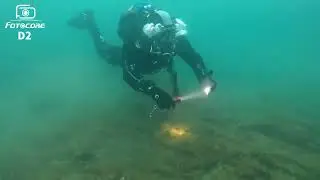 Fotocore D2 Diving Torch