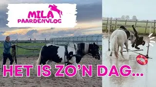 Vallen op het slechtste moment, lange lijnen met Jack en alles is een wedstrijd...