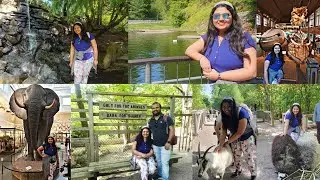 🌲Slottsskogen🌳||🏞Barnens Zoo🐏||Pony Ride🐎||Seal Pond🦭||Goteborg Museum of Natural History🦁||Sweden🇸🇪