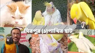 বাংলাদেশের সবচেয়ে বড় পাখির হাট মিরপুর ১ Mirpur is the biggest bird market in Bangladesh