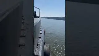 Is This Boat A Perfect Bug In Compound?