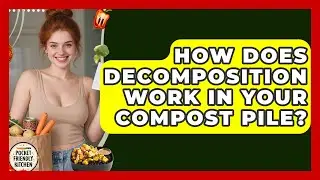 How Does Decomposition Work In Your Compost Pile? - Pocket Friendly Kitchen