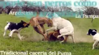 Kizoa Movie Maker: La Pampa Argentina IES Puente Ajuda (Maria Jose, Valentino y Francisco)