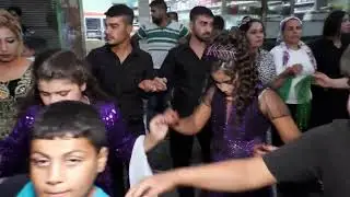 GÜVERCİN MUSTAFA DÜGÜN 3
