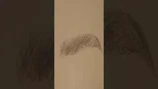 Eyebrows Sketch Tutorial | Eyebrows Sketch Tutorial for Beginners