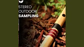High-Definition Outdoor Stereo